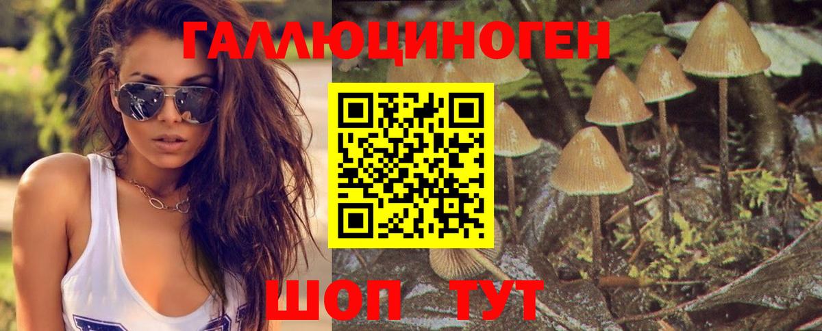 Псилоцибиновые грибы Cubensis Елец